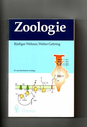 Seller image for Rüdiger Wehner, Walter Gehring, Zoologie / 23. Auflage for sale by sonntago DE