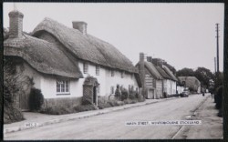Winterbourne Stickland Postcard Dorset Real Photo Publisher Frith's