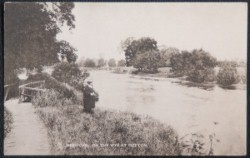 Seller image for Hereford Putton Vintage Postcard Publisher Raphael Tuck for sale by Postcard Anoraks