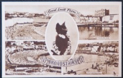 Broadstairs Kent Postcard Lucky Black Cat Series LOCAL KENT PUBLISHER