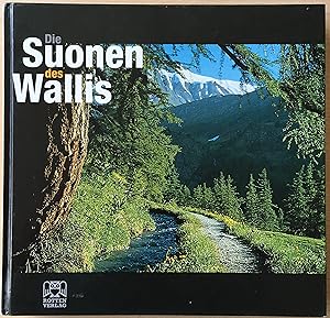 Seller image for Die Suonen des Wallis for sale by buch&kunst