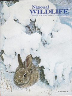 National Wildlife Magazine December/January 1983 (Dedicated to Improving the Quality of Our Envir...