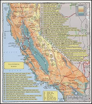 Birds of California: A Guide to Viewing Distinct Varieties (California Renaissance User Friendly ...