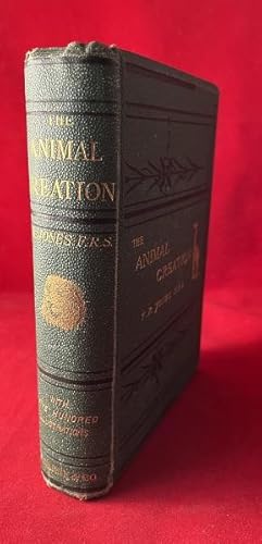 The Animal Creation: A Popular Introduction to Zoology
