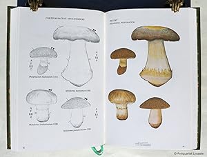 Bild des Verkufers fr Cortinariales A - Flore Mycologique / Mycological Flora. Vol. 3 (Text) and Vol. 4 (Plates) in 2 volumes. zum Verkauf von Antiquariat Lycaste