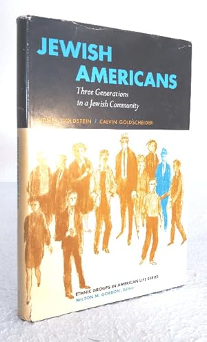 Bild des Verkufers fr Jewish Americans: Three Generations in a Jewish Community zum Verkauf von Structure, Verses, Agency  Books