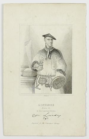 Bild des Verkufers fr [Portrait of Linnaeus in Lapland costume] zum Verkauf von Antiquariaat Schierenberg