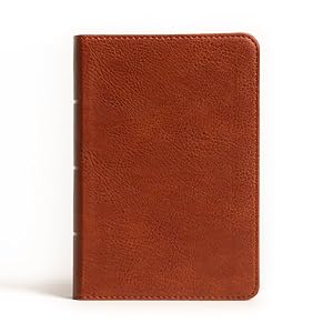 Seller image for Holy Bible : Nasb Reference Bible, Burnt Sienna Leathertouch for sale by GreatBookPrices