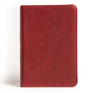 Seller image for Holy Bible : Nasb Reference Bible, Burgundy Leathertouch for sale by GreatBookPrices