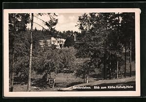 Bild des Verkufers fr Ansichtskarte Sandersleben, Blick zum Kthe-Kollwitz-Heim zum Verkauf von Bartko-Reher