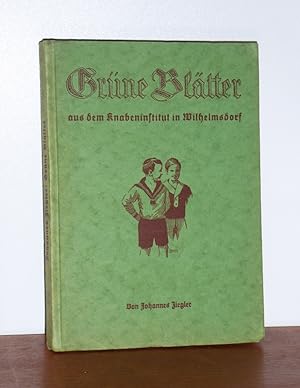 Seller image for Grne Bltter aus dem Knabeninstitut in Wilhelmsdorf. Mit 18 Erzhlungen aus den frheren Bnden I u. III der "Grnen Bltter", besorgt von Immanuel Ziegler. for sale by Antiquariat Ballmert