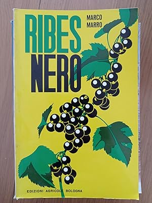 Ribes nero