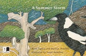 Bild des Verkufers fr A Summer Storm zum Verkauf von Never Too Many Books