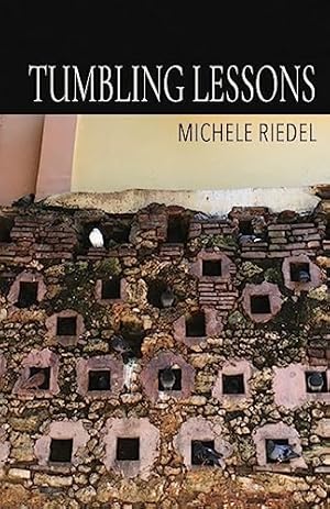 Imagen del vendedor de Tumbling Lessons a la venta por Reliant Bookstore