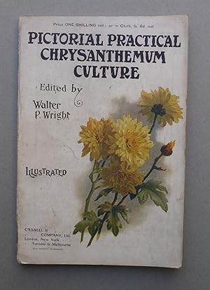 Pictorial Practical Chrysanthemum Culture - A Plain Guide - Describing Every Branch of Chrysanthe...