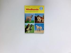 Immagine del venditore per Windhunde : Ursprung, Geschichte u. Rassekennzeichen unserer Windhundrassen. venduto da Antiquariat Buchhandel Daniel Viertel