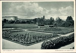 Ansichtskarte / Postkarte Kaliningrad Königsberg Ostpreußen, Rosengarten, Oberteich