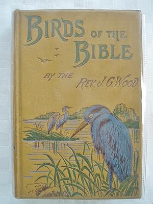 Birds of the Bible from 'Bible Animals' by Rev. J.G. Wood, M.A. F.L.S. etc.