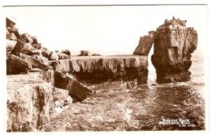 Portland Bill Postcard Pulpit Rock Real Photo LOCAL PUBLISHER 1953