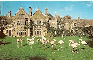 Seller image for Bourton On The Water Glos. Postcard for sale by Postcard Anoraks