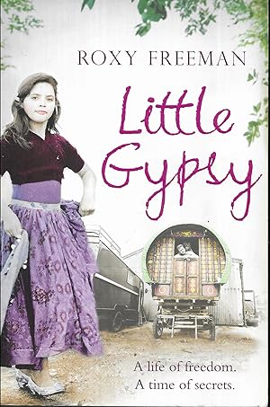 Bild des Verkufers fr Little Gypsy: A Life of Freedom, A Time of Secrets zum Verkauf von Books and Bobs