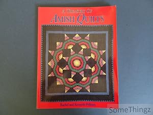 Immagine del venditore per Treasury of Amish quilts. venduto da SomeThingz. Books etcetera.