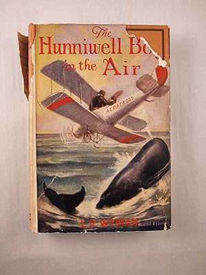 The Hunniwell Boys in the Air