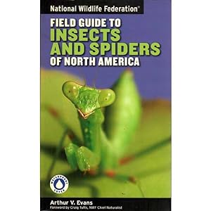 Seller image for Field Guide to Insects and Spiders of North America for sale by Buteo Books
