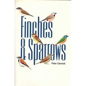 Seller image for Finches and Sparrows: An Identification Guide [PB] for sale by Buteo Books