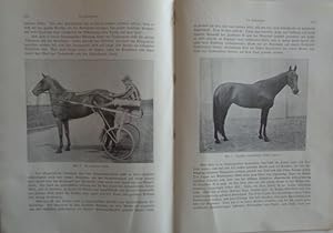 Seller image for Der Trabersport. Seiten 851-864 aus "Das groe illustrierte Sportbuch" vom Verlag J.J.Arnd (Leipzig) 1908. 13 Abbildungen. for sale by Antiquariat Ursula Hartmann