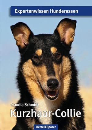 Kurzhaar-Collie. Expertenwissen Hunderassen.