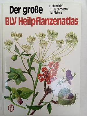 Immagine del venditore per Der groe BLV Heilpflanzenatlas venduto da Allguer Online Antiquariat