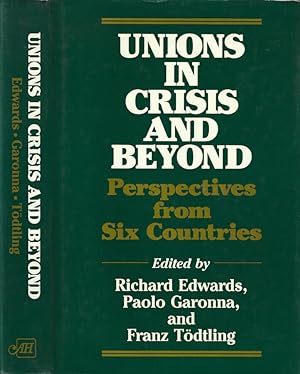 Bild des Verkufers fr Unions in crisis and beyond Perspectives from six countries zum Verkauf von Biblioteca di Babele