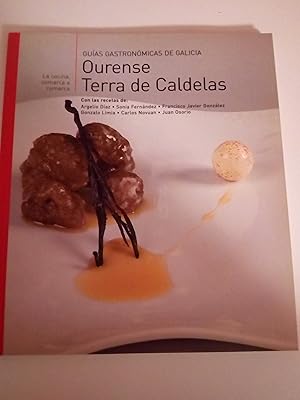 Seller image for Guas Gastronmicas de Galicia: Ourense. Terra de Caldelas for sale by Libros Nakens
