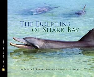 Immagine del venditore per The Dolphins of Shark Bay (Hardcover) venduto da Grand Eagle Retail