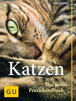 Bild des Verkufers fr Katzen. Das groe Praxishandbuch zum Verkauf von Wegmann1855