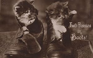 Seller image for Two Pussies On Boots Antique Cat In Shoe Kitten RPC Comic Postcard for sale by Postcard Finder
