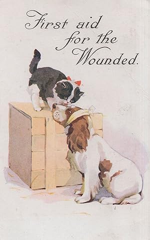 Medical First Aid For The Wounded Cat Dog Military Comic WW1 Postcard