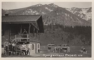 Alpen Gathaus Plezach Austria Real Photo Old Postcard