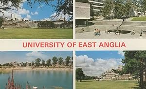 Norwich University Of East Anglia 1970s Norfolk Postcard