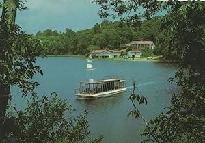 Lake Barrine National Park Ship Cruise Launch Australia Postcard