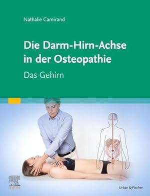 Bild des Verkufers fr Die Achse Hirn-Darm-Becken in der Osteopathie : Das Gehirn zum Verkauf von AHA-BUCH GmbH