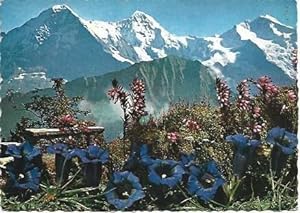 Bild des Verkufers fr POSTAL L02247: Imagen de los Alpes zum Verkauf von EL BOLETIN