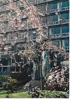 Seller image for POSTAL L01684: Jardin Japones de la UNESCO for sale by EL BOLETIN