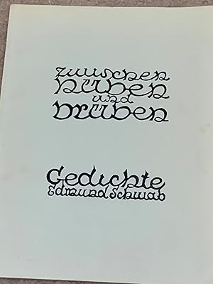 Zwischen hüben und drüben : Gedichte (Between Over and Over Again: Poems)