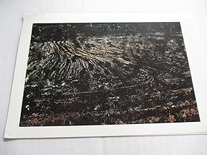 Imagen del vendedor de Anselm Kiefer Marian Goodman Gallery April 12 - May 11 Exhibition invite postcard a la venta por ANARTIST