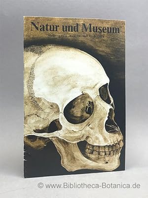 Imagen del vendedor de Natur und Museum. Bd. 106. H.11.7 Bericht der Senckenbergischen Naturforschenden Gesellschaft. a la venta por Bibliotheca Botanica