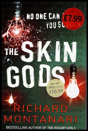 Imagen del vendedor de The Skin Gods by Richard Montanari 2007 a la venta por Artifacts eBookstore
