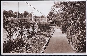 Cloughton Postcard Tennis Courts Vintage View Sepia Toned