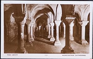 Worcester Cathedral Postcard The Crypt Real Photo Vintage View 1952